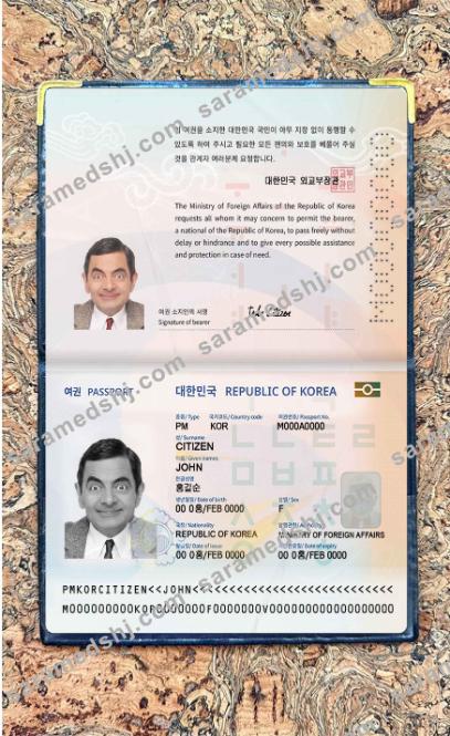 Korea passport (2021-present) photo look